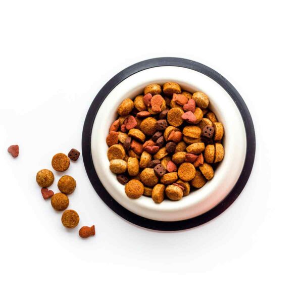 Dry Food